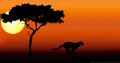 Cheetah running silhouette