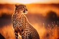 Cheetah at savanna on sunset sky background. Animal and nature environment concept. Generative ai Royalty Free Stock Photo