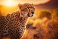 Cheetah at savanna on sunset sky background. Animal and nature environment concept. Generative ai Royalty Free Stock Photo