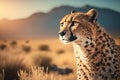 Cheetah at savanna on sunset sky background. Animal and nature environment concept. Generative ai Royalty Free Stock Photo