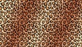 Cheetah skin tracery with light lines background. Yellow panther spots with black jaguar outlines.