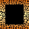 Cheetah spots frame