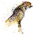 Cheetah T-shirt graphics, African animals cheetah illustration with splash watercolor textured background