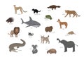 Cheetah, tasmanian devil, platypus, leopard, porcupine, shark, chameleon, dingo, lion, chinchilla, wombat, solenodon Royalty Free Stock Photo