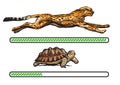 Cheetah and turtle. Fast and slow loading bar.