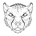 Cheetah. Vector illustration of a sketch african wild animal. Acinonyx jubatus