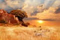 Cheetahs in the African savanna against the backdrop of beautiful sunset. Serengeti National Park.