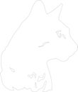 Cheetoh Cat outline Outline Silhouette Generative Ai Royalty Free Stock Photo