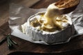 Cheezy camembert on a wodden board Royalty Free Stock Photo