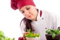 Chef Royalty Free Stock Photo