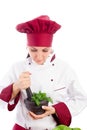 Chef Royalty Free Stock Photo