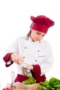 Chef Royalty Free Stock Photo