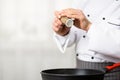 Chef Adding Pepper Seasoning Disn Cooking In Kitchen, Cropped Royalty Free Stock Photo