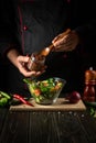 The chef adds flavoring to the vegetable salad. Vegetarian food by hands of the cook in the kitchen