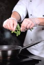The chef adds mint leaves to the pan. Preparation of dishes. Unrecognizable vertical photo. Flaming of fruits and berries on fire Royalty Free Stock Photo