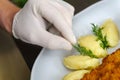 Chef arranging a dinner Royalty Free Stock Photo