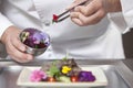 Chef Arranging Edible Flowers On Salad Royalty Free Stock Photo