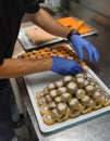 Chef arranging sushi rolls in restaurant kitchen, catering business Royalty Free Stock Photo