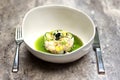 Chef assembles gourmet fish ceviche dish with corn, cucumber in green sauce