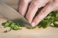 Chef chopping parsley leaves