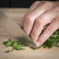 Chef chopping parsley leaves