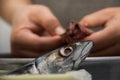 Chef cleaning a fish. Royalty Free Stock Photo