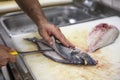 Chef cleaning sea bream in the kitchen. A Chef in a cuts up fish. Still life on the kitchen Board. Hearty food for cold regions Royalty Free Stock Photo