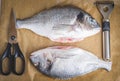 Chef cleaning sea bream in the kitchen. A Chef in a cuts up fish. Still life on the kitchen Board. Hearty food for cold regions Royalty Free Stock Photo