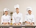 Chef co-workers kneading dough in kitchen Royalty Free Stock Photo