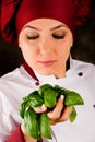Chef is controlling basil quality Royalty Free Stock Photo