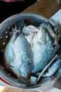 Chef cooking deep-fried fish in the big pan to Chinese banquet food preparation.