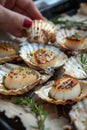 Chef cooking grilled scallops in creamy lemon butter or cajun spicy sauce with herbs