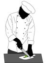 Chef cooking illustration