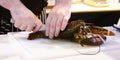 Cooking Lobster, chef cutting lobster, Hands of a chef cutting a fresh lobster