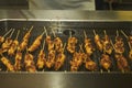 Chef cooks skewer of turkey or chicken meat shish kebab