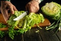 The chef cuts fresh cabbage with a knife on a kitchen cutting board before preparing national or vegetarian dishes. Fresh cabbage Royalty Free Stock Photo