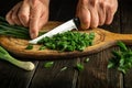 The chef cuts with a knife green onion on a cutting board for preparing a vegetarian dish Royalty Free Stock Photo