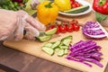 Chef cutting cucumber and different vegetables for salad close up. Hands in cellophane gloves cooking healthy vegan food Royalty Free Stock Photo