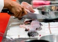 Chef cutting fish, Chef slices fish fresh on Board in the kitchen Royalty Free Stock Photo
