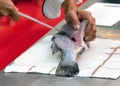 Chef cutting fish, Chef slices fish fresh on Board in the kitchen Royalty Free Stock Photo
