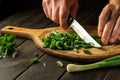 Chef cutting green onion on a cutting board with a knife for preparing a vegetarian dish. Peasant food Royalty Free Stock Photo