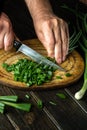 Chef cutting green onion on a cutting board with a knife for preparing a vegetarian dish. Peasant food Royalty Free Stock Photo