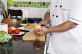 Chef cutting onion for making Hamburger Royalty Free Stock Photo