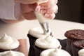 Chef decorating chocolate cupcakes Royalty Free Stock Photo