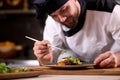 chef dressing salad with fresh greens, adding finishing touch on dish Royalty Free Stock Photo