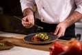 chef dressing salad with fresh greens, adding finishing touch on dish Royalty Free Stock Photo