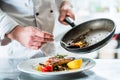 Chef finishing food in his restaurant kitchen