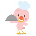 Chef flamingo style character collection