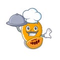 Chef with food gac fruit isolated in the cartoon