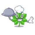 Chef with food horse chestnuts in the mascot stem Royalty Free Stock Photo